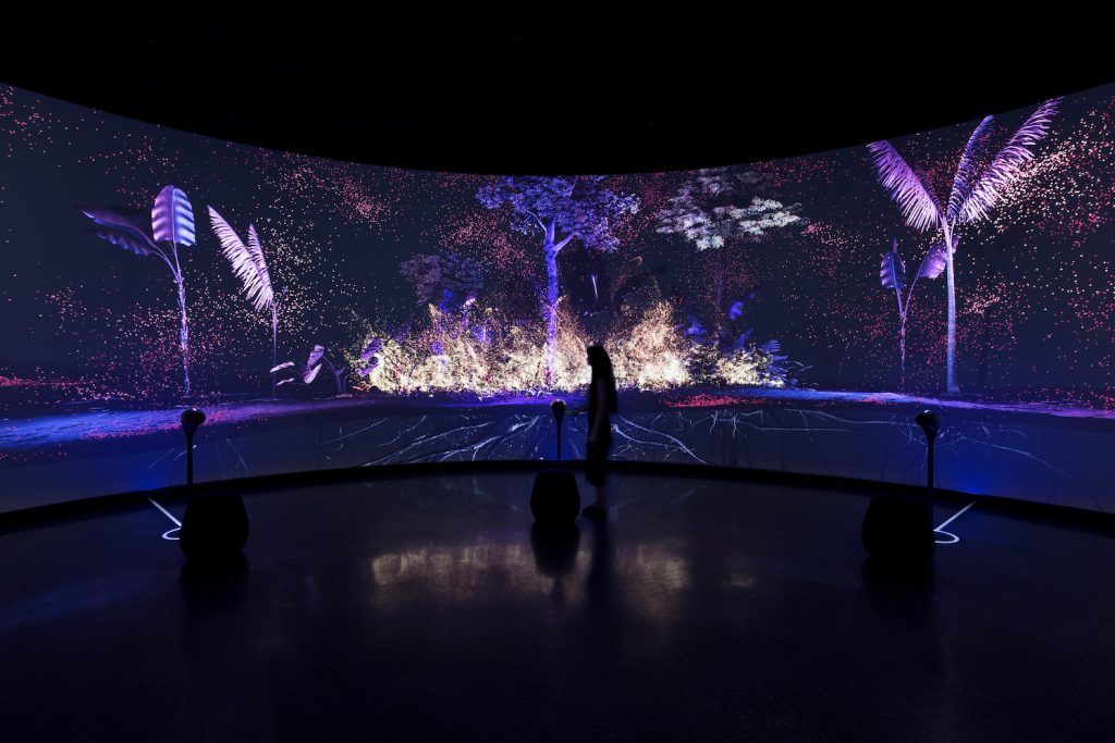 Museum of the Future