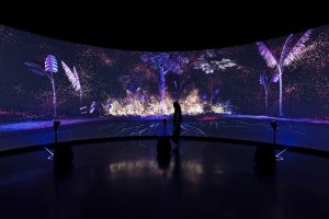 Museum of the Future