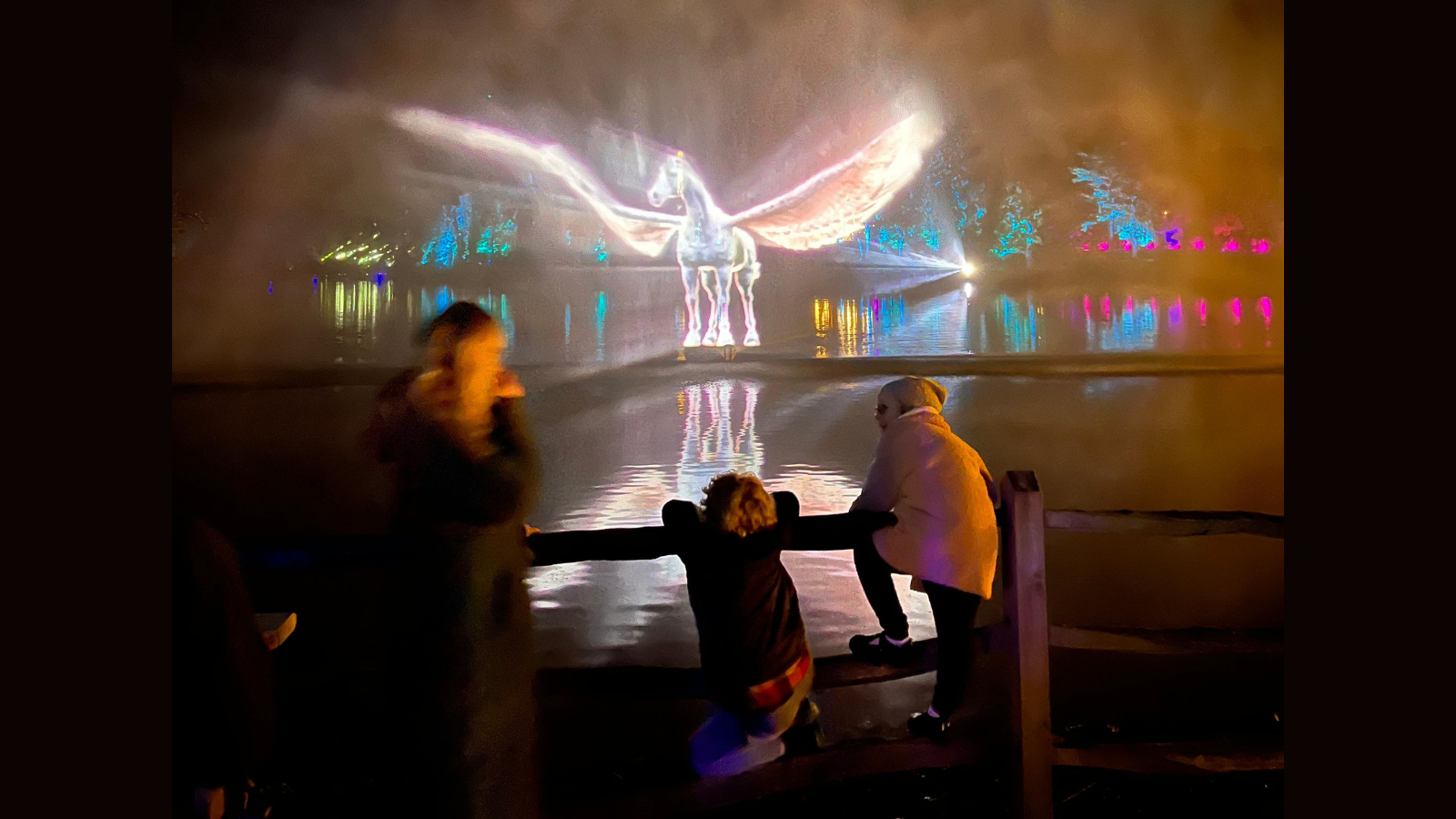 Windsor Great Park Illuminated