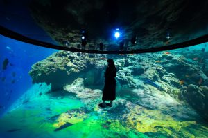 An immersive space powered by Igloo Vision's ICE. An immersive space powered by Igloo Vision's ICE.