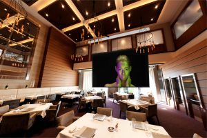 Screen Innovations Zero-G Pro CarbonBlack Screen Innovations Zero-G Pro CarbonBlack